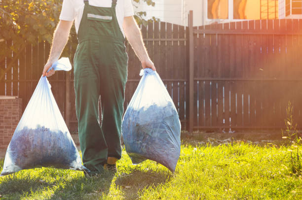 Best Professional Junk Removal  in Collinsvle, IL