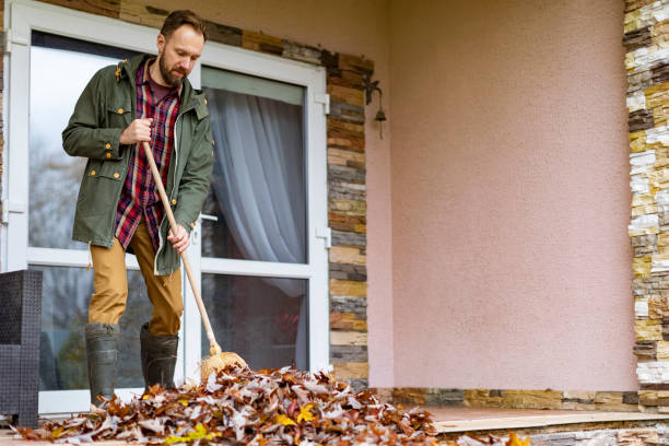 Best Junk Hauling Services  in Collinsvle, IL